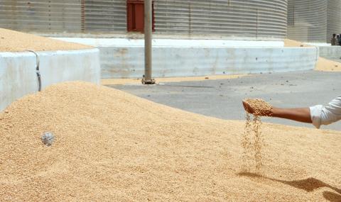 CAPA: Скъпо зърно заради капризите на природата - 1