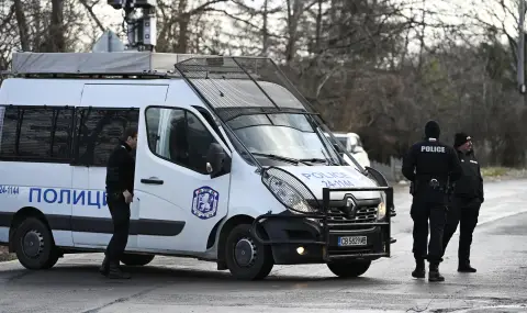 10 души са собственици на парцела, където дърво падна и уби жена в Бояна