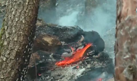 Десетки пожарникари и доброволци се борят с огъня в Кюстендилско - 1