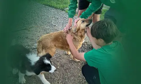 Деца от футболна школа дариха средства за приют за кучета - 1