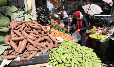 Египет губи годишно по 9 милиарда долара заради кризата в Червено море - 1