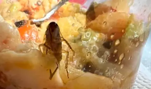 "Добър апетит": Майка намери хлебарка в храна от детска кухня в Монтана  - 1