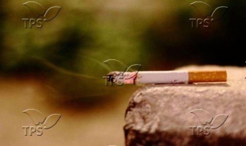 Израелски учени: Пасивното пушене е много опасно за децата  - 1