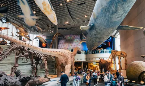 В Китай откриха животински видове отпреди 512 милиона години - 1