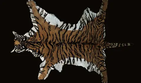 75-годишна индийка беше арестувана заради ритуална тигрова кожа в дома си - 1