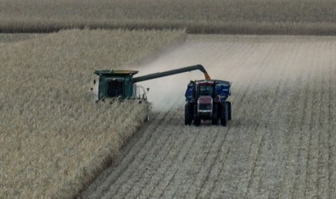 Над 17 млн. тона зърно са изнесени през Черноморския зърнен коридор - 1