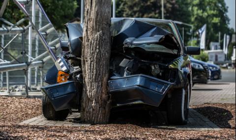 19-годишен шофьор се заби в дърво и кола, загина на място - 1