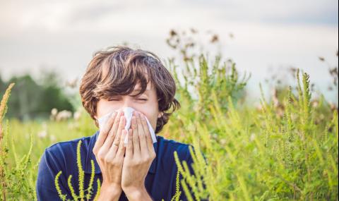 Кога цветният прашец предизвиква алергии? - 1