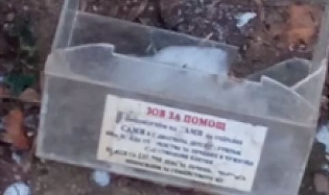 Майка алармира: За 2 месеца са откраднати 12 кутии с дарения за дете с аутизъм - 1