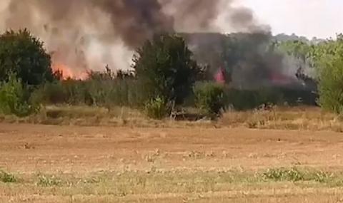Бедствено положение в пет общини заради огъня в Хасковско - 1