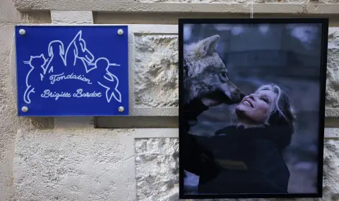 Днес ще бъде погребението на Бриджит Бардо в родния ѝ Сен Тропе - 1