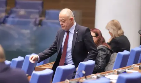 Atanas Atanasov: We are in a state of facade democracy  - 1