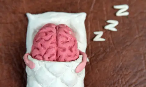 Учени най-накрая установиха защо мозъкът се нуждае от сън - 1