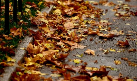 Времето днес, прогноза за събота, 14 октомври: Слънчево и по-топло от типичното за сезона - 1