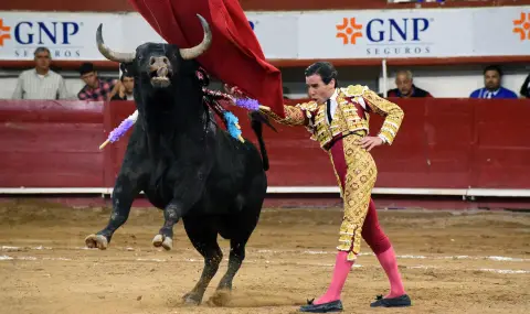 Испания повече няма да толерира бикоборството