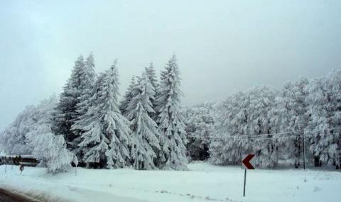 Ограничена видимост по пътищата заради мъгла и сняг - 1