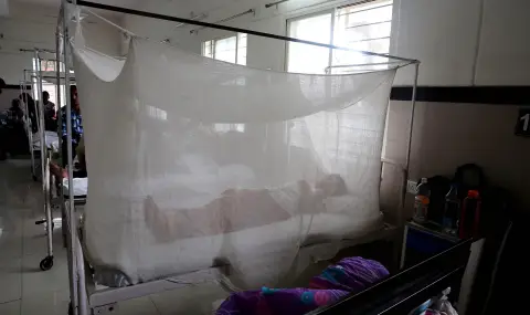 First case of chikungunya virus in Romania  - 1