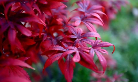 Времето днес, прогноза за петък, 27 октомври: Силен южен вятър ще пренася по-топъл въздух - 1