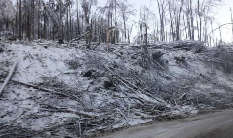 Осми ден почистват прохода "Петрохан" от паднали дървета - 1
