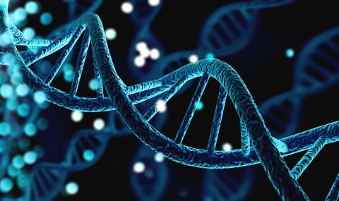 Научен пробив: Човешките гени могат да бъдат контролирани с електричество - 1
