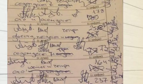 Членове на Обществения съвет към ЦИК: Такова безобразие с толкова много дописани – няма досега - 1