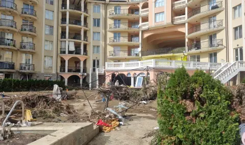 Мащабна дезинфекция в Елените - 1