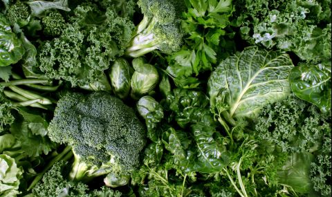 Диетолози посочиха най-полезните листни зеленчуци - 1