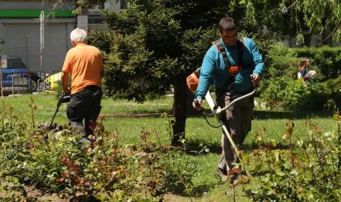"Save Sofia" claims: The Standard for Street Greening is stubbornly not being completed  - 1