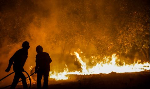 Огромен горски пожар бушува в Северен Казахстан - 1