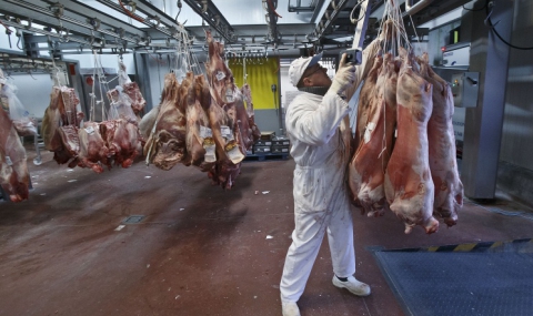 Франция: Ембаргото на Русия се отрази на пазара на свинско месо - 1