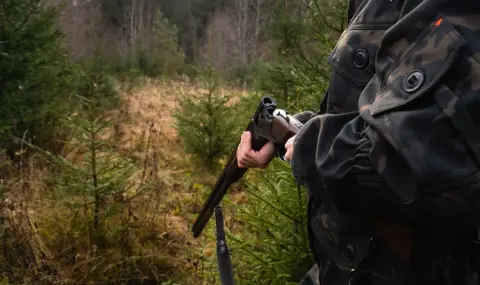 Търсят ловци с опит в Африка за залавянето на хищника край Шумен - 1