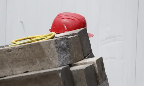 Огнян Минчев: Вносът на пакистанци е дългосрочно лоша - и все по-лоша новина - 1