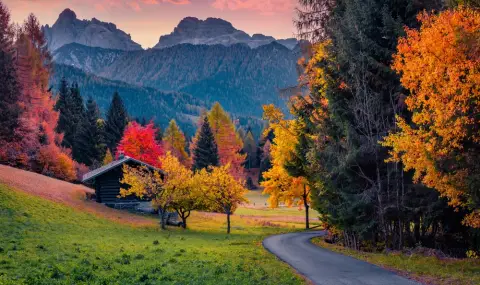 Italian court refuses to return children to couple living in forest without electricity and running water  - 1