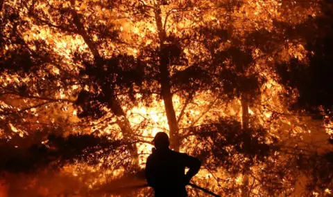 Гори пожар край село Илинденци - 1