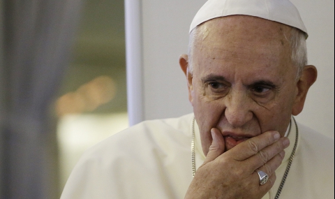 Папа Франциск призова за спешни мерки за климатичните промени - 1