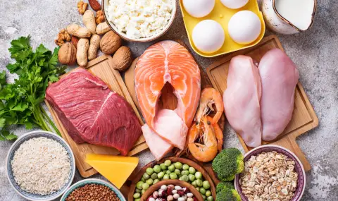 10-те най богати на протеини храни за хора със заседнал начин на живот - 1