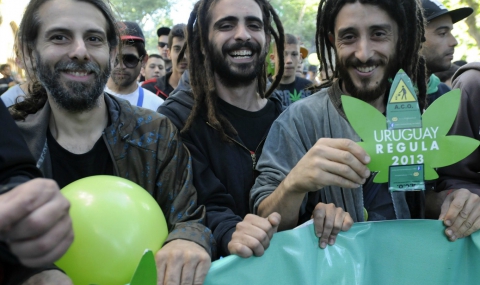 Уругвай стана първата страна, легализирала напълно марихуаната - 1