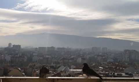 Ветровита събота - 1