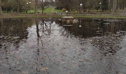 Езерото с лилиите прелива (СНИМКИ) - 1