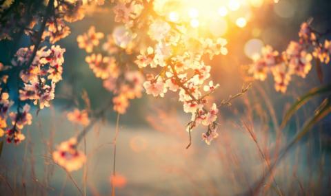 Очаква ни още малко слънце - 1