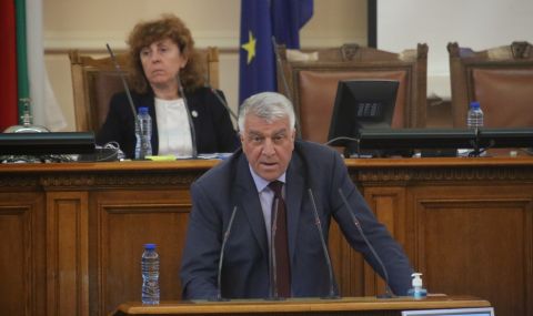 Проф. Гечев: Ще подкрепим актуализацията на бюджета, въпросът е дали тя е достатъчна - 1