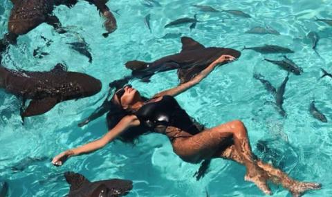 Николета Лозанова плува и с акули на Бахамите (ВИДЕО+СНИМКИ) - 1