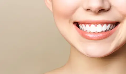 Учени разработиха лекарство, каращо зъбите да растат отново - 1