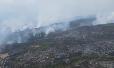 52 млн. лв. струва възстановяването на изгорелите до момента площи в страната - 1