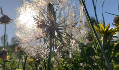 Времето днес, прогноза за неделя, 20 август: Горещ следобед - 1