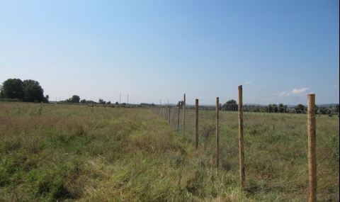 Ограда пази блатните кокичета край Свиленград - 1