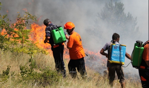 Пожар пламна в община Белица - 1