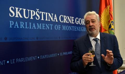 Опозицията съставя правителство в Черна гора - 1