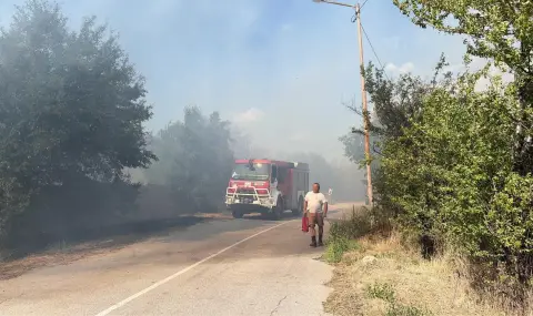 Голям пожар край Благоевград - 1