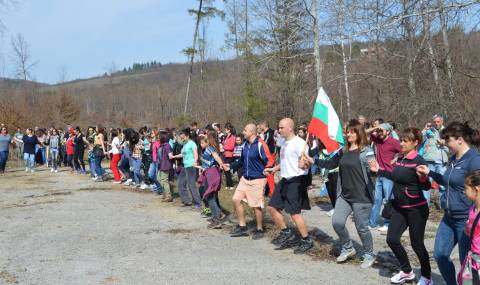 Доброволци засаждат десетки хиляди дръвчета в София - 1